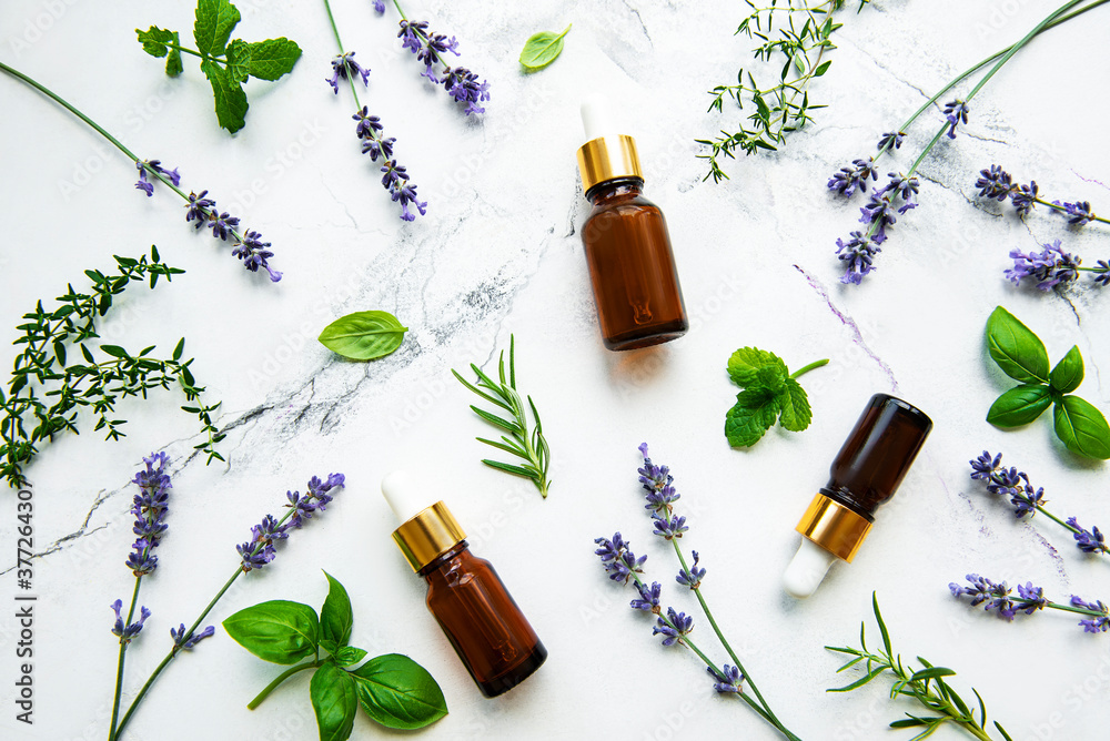 Bottles of essential oils with herbs and flowers - obrazy, fototapety, plakaty 