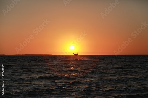 Fototapeta Naklejka Na Ścianę i Meble -  Riding the waves at sea at sunset