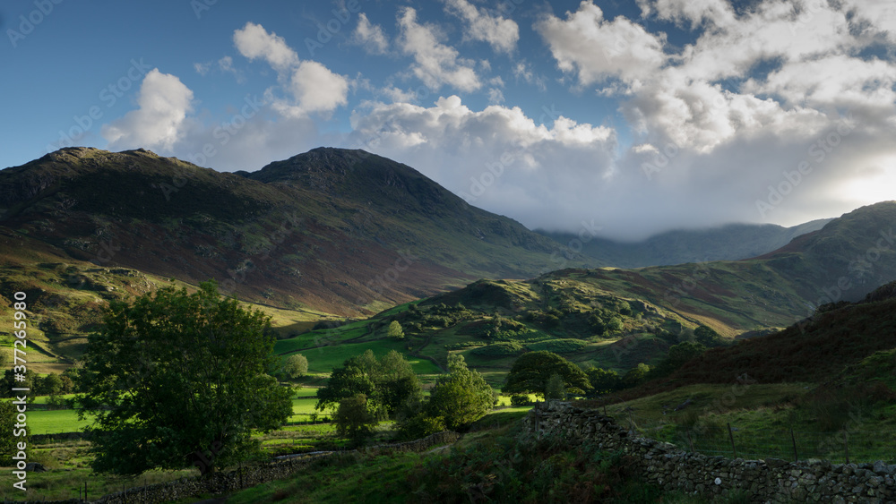 Naklejka premium The Sun setting cast long shadows over Blea Marsh a small area of the Lake District
