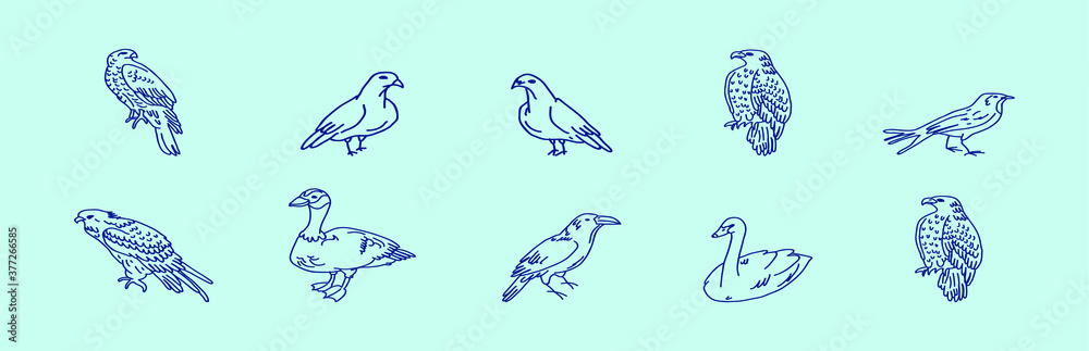 Fototapeta premium set of bird. buzzard, eagle vector illustration