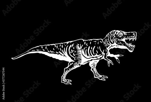 Vector tyrannosaurus isolated on black, graphical illustration of dinosaur