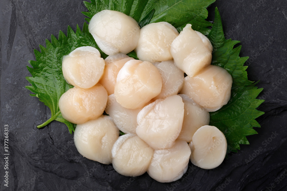 帆立貝柱の刺身 帆立貝柱の刺身