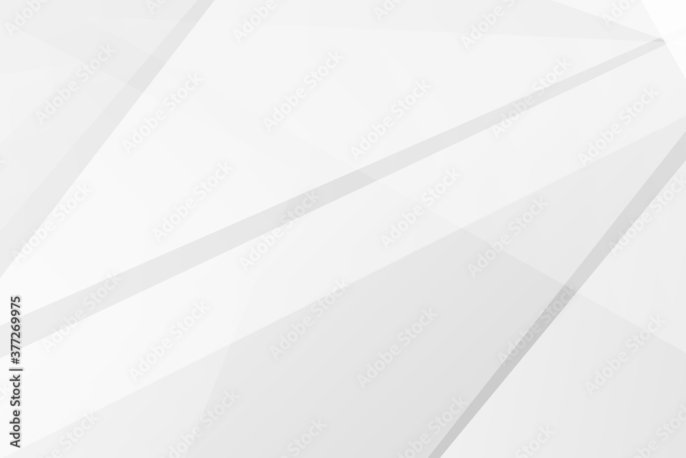 Abstract white and grey on light silver background modern design. Vector illustration EPS 10.
