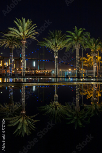 Palm Trees At Night Reflected In Water  © Chris Fabregas