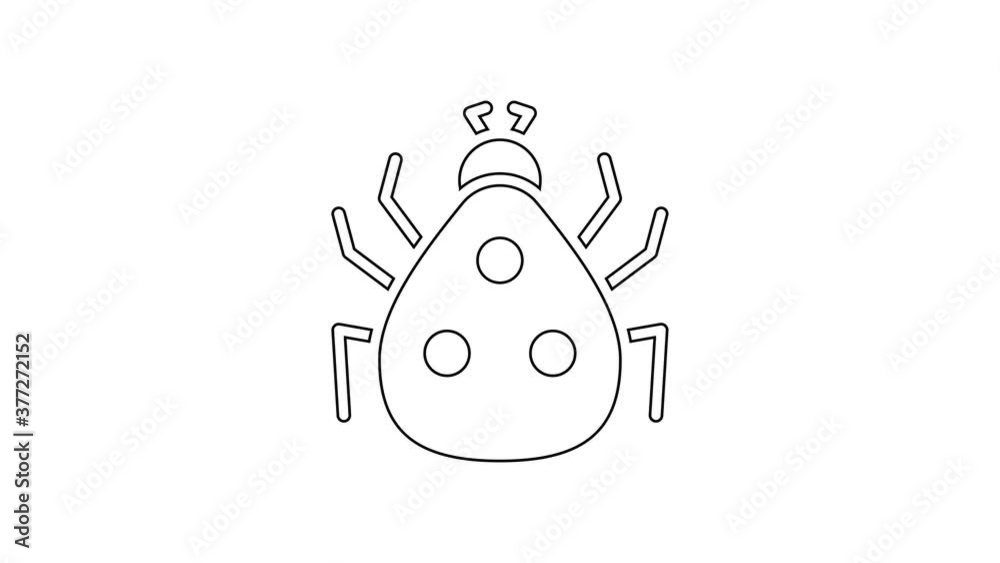Black line Ladybug icon isolated on white background. 4K Video motion graphic animation. Black line Ladybug icon isolated on white background. 4K Video motion graphic animation.