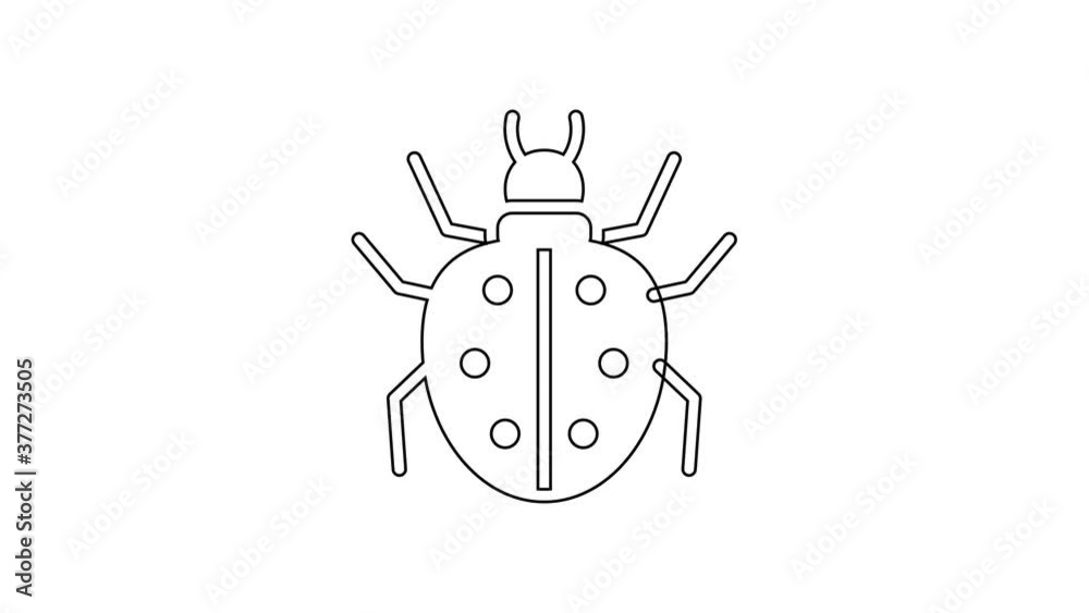 Black line Mite icon isolated on white background. 4K Video motion graphic animation. Black line Mite icon isolated on white background. 4K Video motion graphic animation.