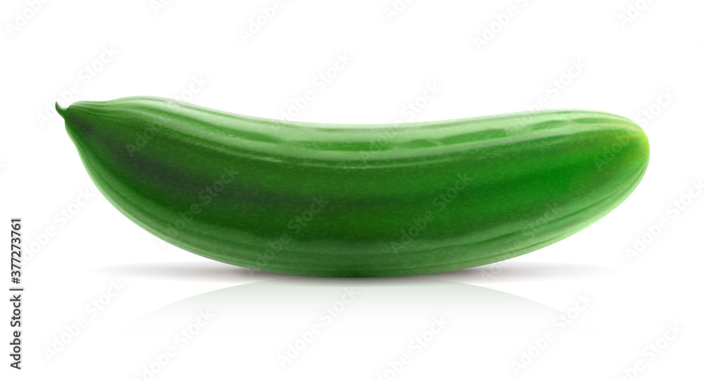 Cucumber