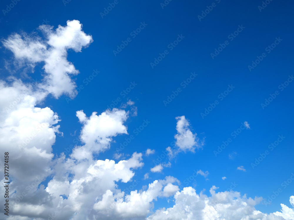 Fototapeta premium 東京の夏空と雲