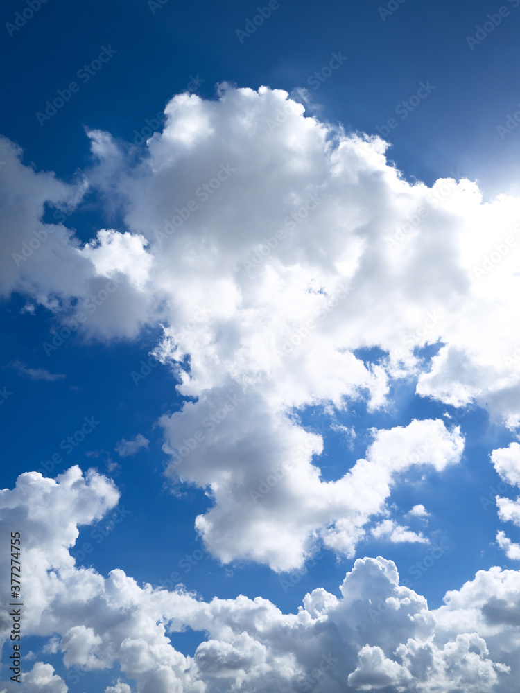 Obraz premium 東京の夏空と雲