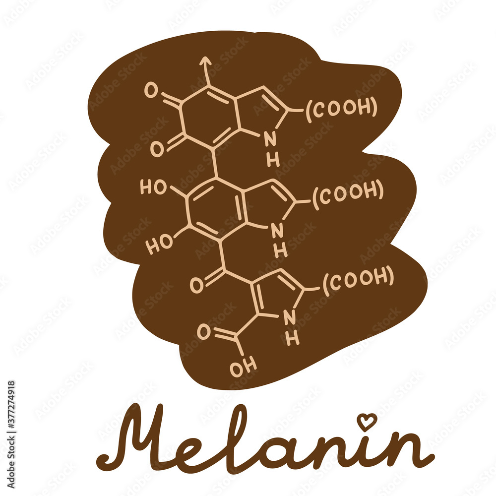 Melanin eumelanin formula simple vector illustration with hand ...