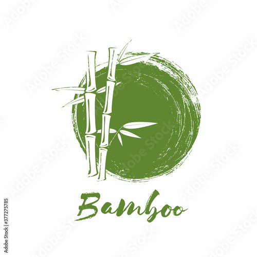 Bamboo tree and leaves on green grunge circle background.