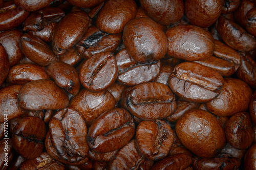 Roasted coffee beans with a nice oily greasy sheen.