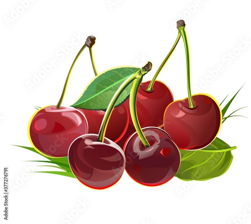 A handful of cherries. Isolated vector objects. Illustration. Several ripe berries with stalks and leaves are collected in a still life.