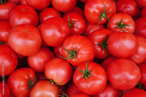 background with many quality red tomatoes