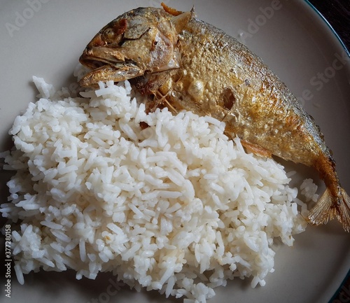 Jusmine rice with deep fried Mackerel fish  photo