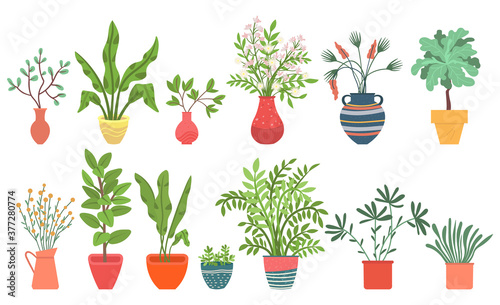 Flowers in vases, floral decor for home flat style flourishing on branches, plant with frondage, tender and elegant design, container interior. Isolated flowerpot with blooming plant . Vector in flat