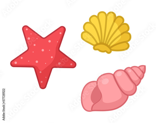 Sea organism, aquatic nautical shellfish, coral star, starfish, shell, mollusk, sea or ocean symbols, tropical concept, marine life, coral stars, creature, marine, summer tropical exotic wildlife