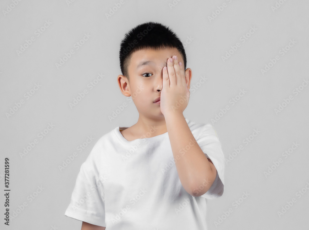 Asian boys studio shot portrait on gray background Asian boys studio shot portrait on gray background