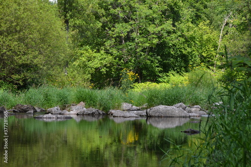 Rivière dans un écrin de verdure dans les Vosges, La Moselotte à Thiéfosse