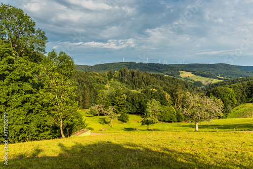 Grüne hügelige Landschaft bei Schuttertal im Schwarzwald, Ortenaukreis, Baden-Württemberg, Deutschland