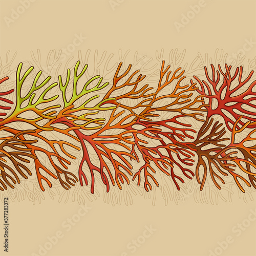 sea moss pattern