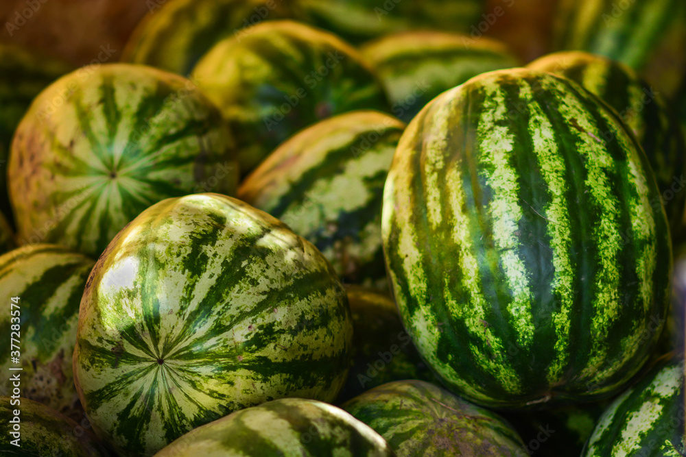 image of a bunch of watermelons on market. 