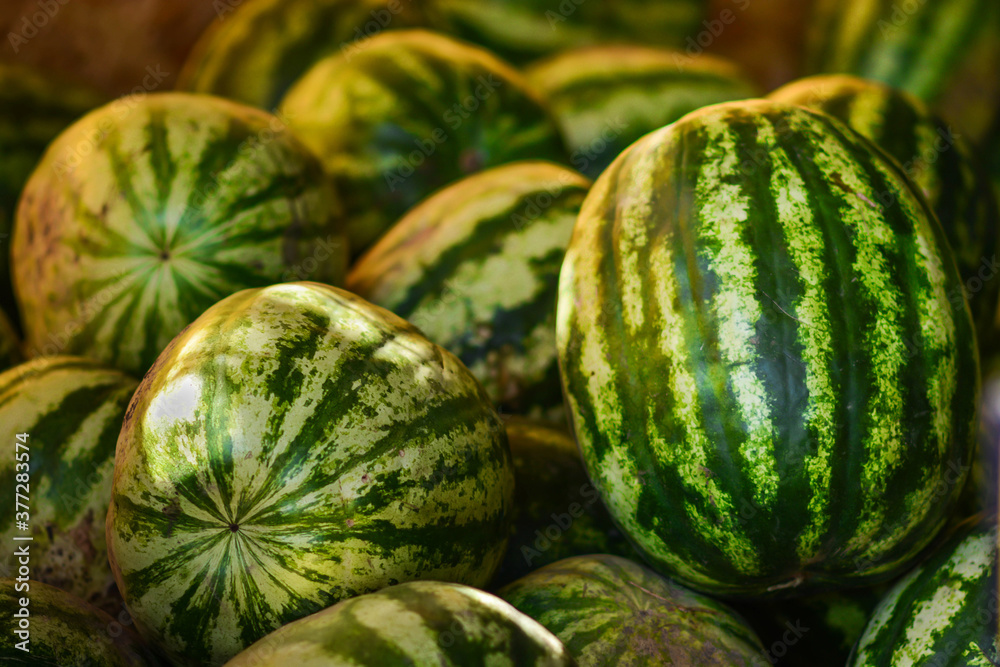 image of a bunch of watermelons on market. image of a bunch of watermelons on market.