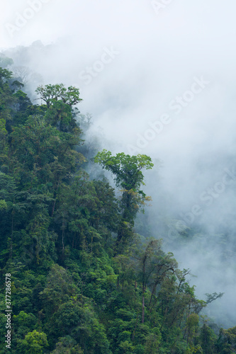 Alajuela Region, Costa Rica, Central America, America © JUAN CARLOS MUNOZ
