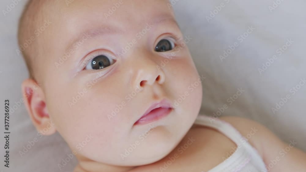 Portrait smiling to camera looking. cute little baby infant newborn toddler. Portrait smiling to camera looking. cute little baby infant newborn toddler.