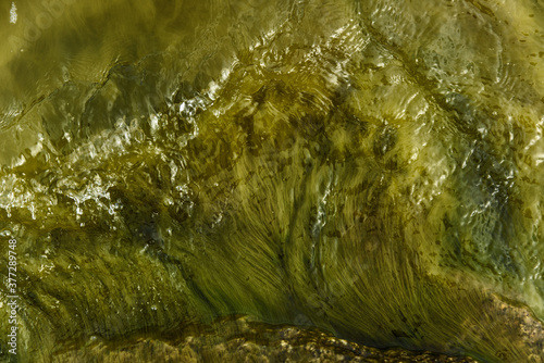 The texture of tina underwater. The glossy surface is green.