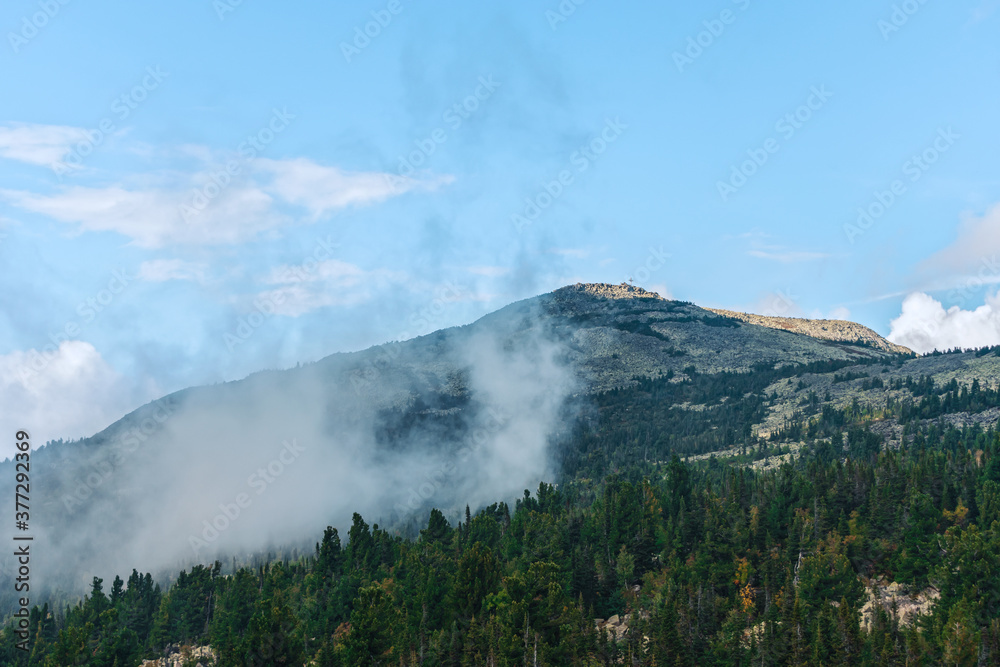 Mountain surrounded by thick forest and fog