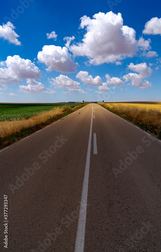 straight road with blue sky and cotton clouds