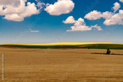 farm field with blue sky and clouds