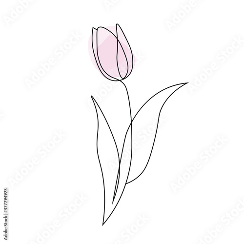 Tulip flower. Abstract minimalistic style. Vector illustration