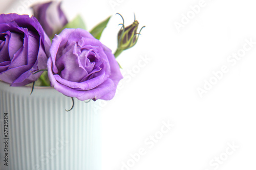 Beautiful purple roses in a blue vase on a light background. Close up. Background with copy space