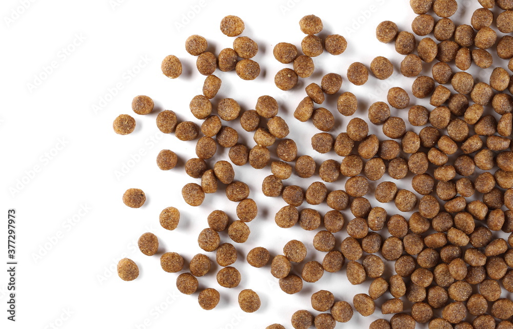 Dog food, dry granules isolated on white background, top view