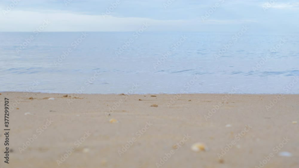 Woman's legs walking barefoot on the sea shore and enjoying summertime. Woman's legs walking barefoot on the sea shore and enjoying summertime.