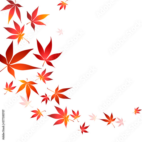 Red maple tree leaves vector illustration. Border of autumn japanese maple tree leaves on white background. Eps 10 vector illustration.