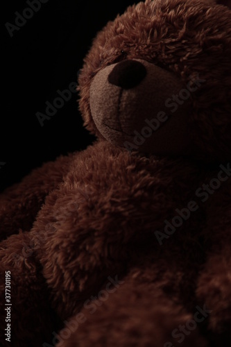 teddy bear portrait © thehefehe