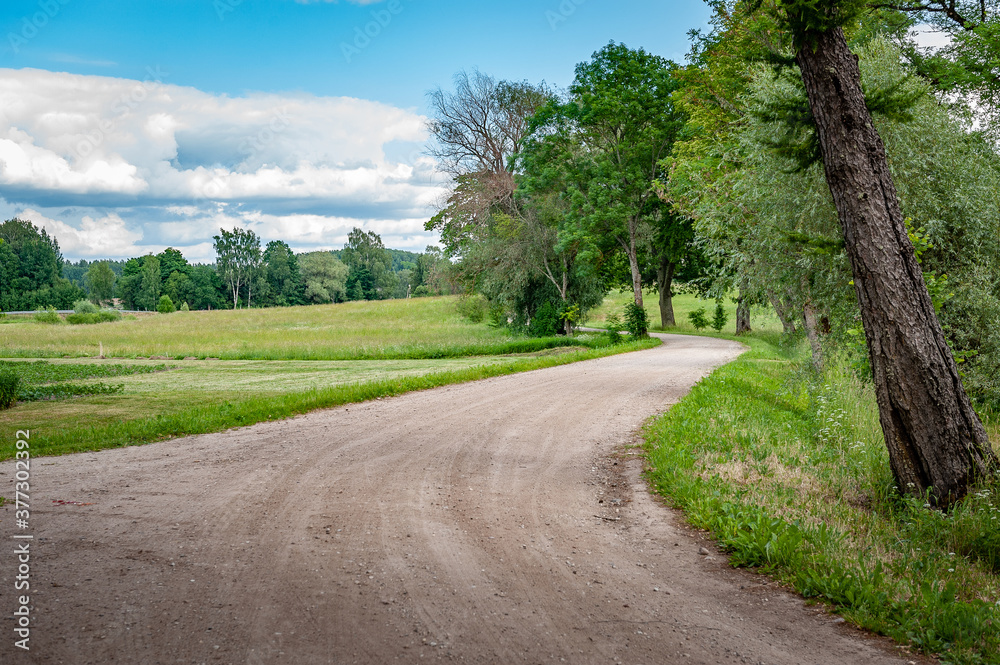 Rural road leading through the fields. Gravel path street with green trees in summer. A driveway in rural countryside. Rural road leading through the fields. Gravel path street with green trees in summer. A driveway in rural countryside.