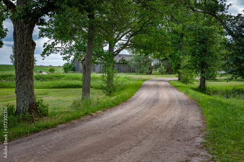 Rural road leading through the fields. Gravel path street with green trees in summer. A driveway in rural countryside.