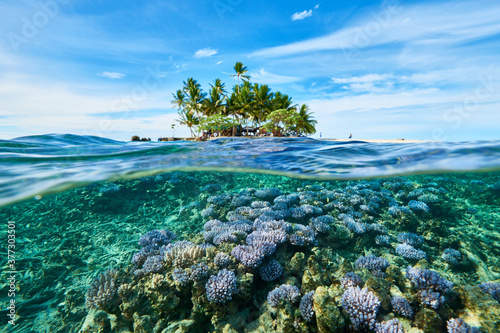 Coral and uninhabited island