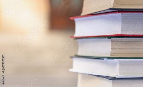 Stack of books on the background of school entrance  © FireflyLight
