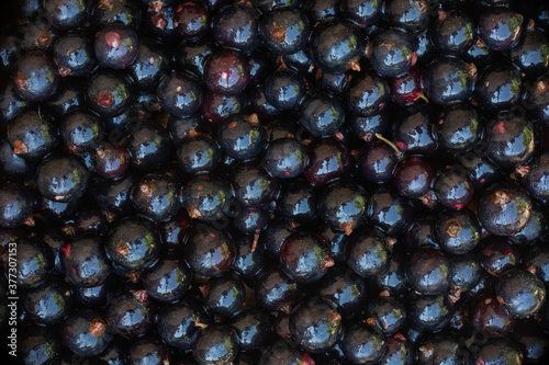 delicious fresh berries in a plate