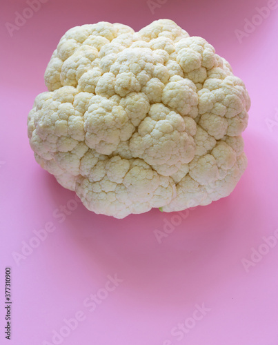 white cabbage on a pink background

