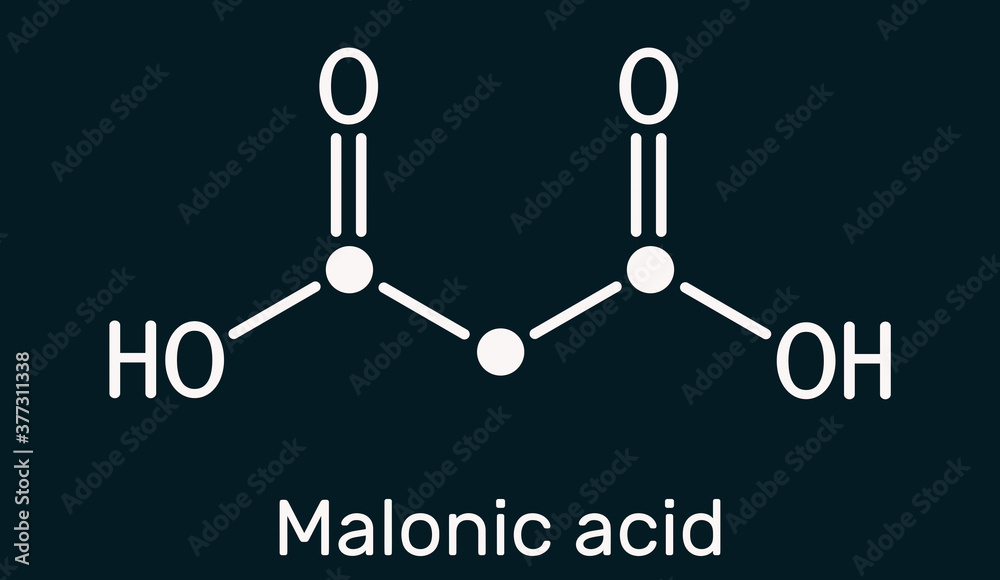 Malonic acid, dicarboxylic, propanedioic acid molecule. The ionized form its ester and salt, are known as malonate. Skeletal chemical formula on the dark blue background