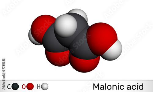 Malonic acid, dicarboxylic, propanedioic acid molecule. The ionized form its ester and salt, are known as malonate. Molecular model photo