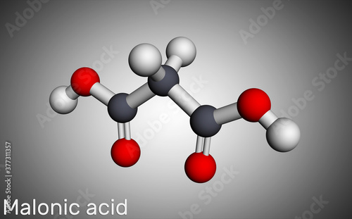 Malonic acid, dicarboxylic, propanedioic acid molecule. The ionized form its ester and salt, are known as malonate. Molecular model photo