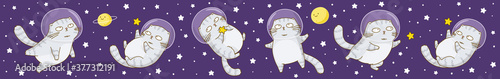 Panoramiс horizontal banner with cute space cat on starry background