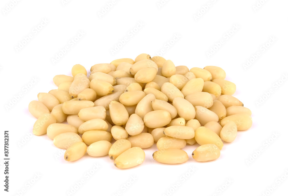 pine nuts isolated on white background pine nuts isolated on white background